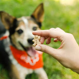 Buddy Biscuit Original Soft & Chewy Dog Treats (Bacon & Cheese) - 6oz & 20oz