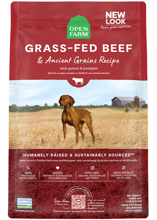 Open Farm Grass-Fed Beef & Ancient Grains Dry Dog Food - (11LB & 22LB)