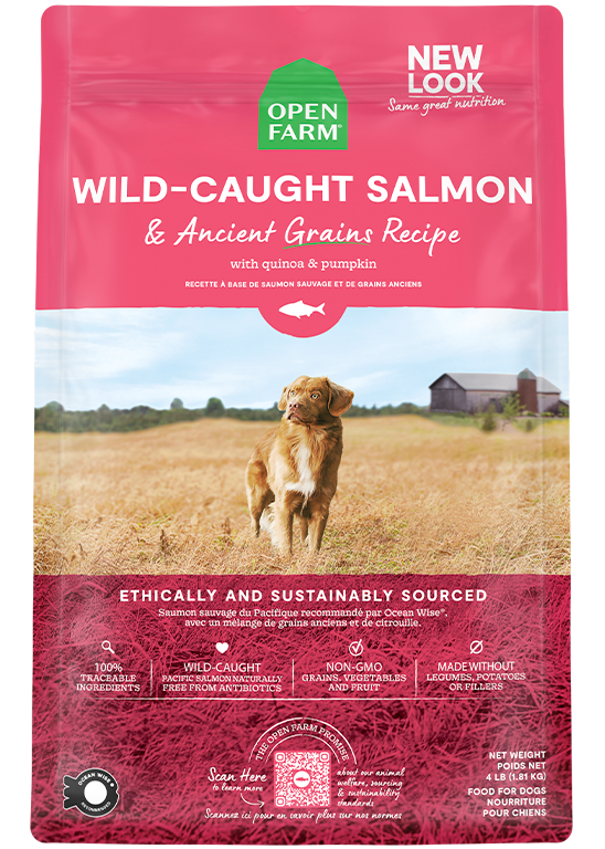 Open Farm Wild-Caught Salmon & Ancient Grains Dry Dog Food - (11LB & 22LB)