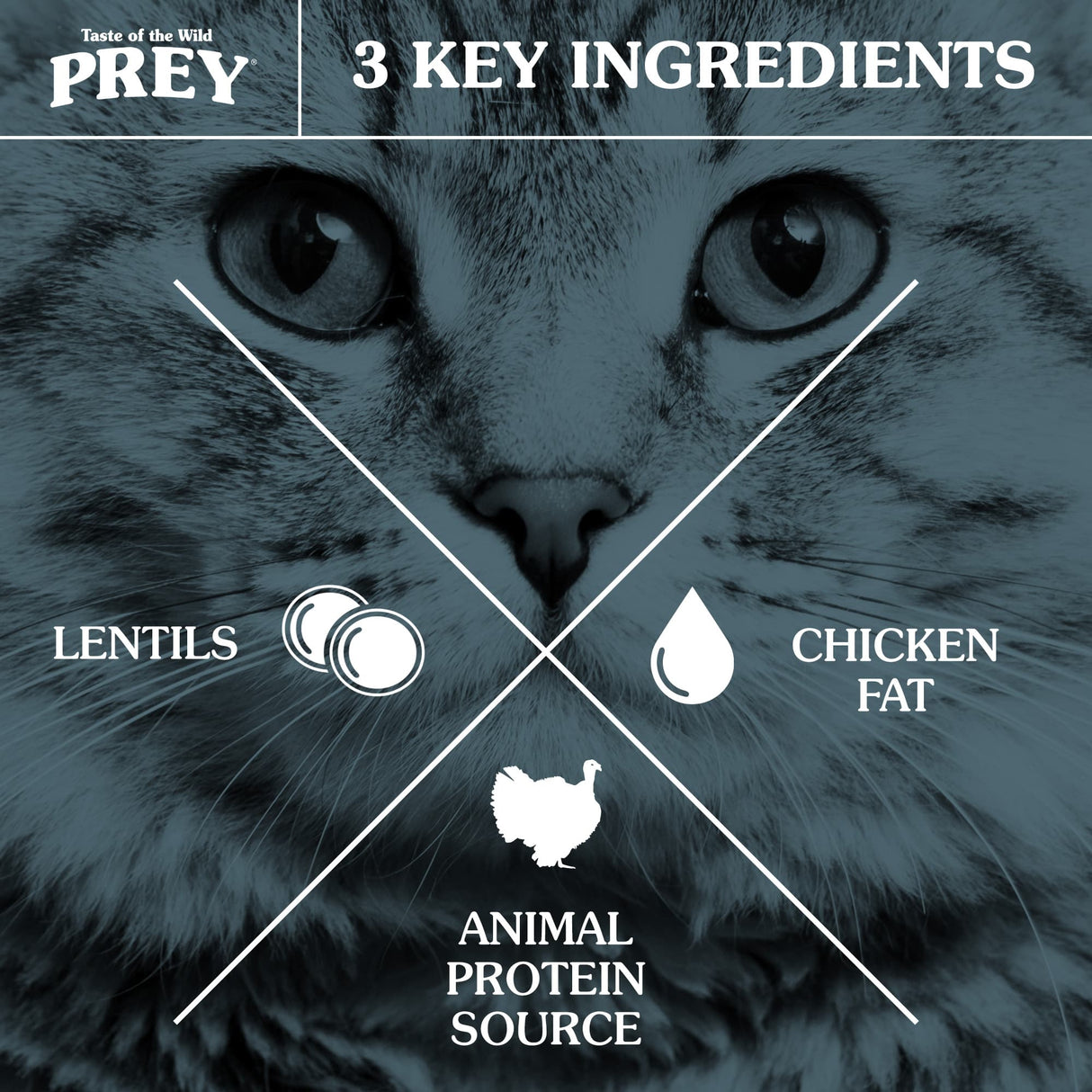 Taste of the Wild PREY Turkey Limited Ingredient Recipe for Cats - 15 LB