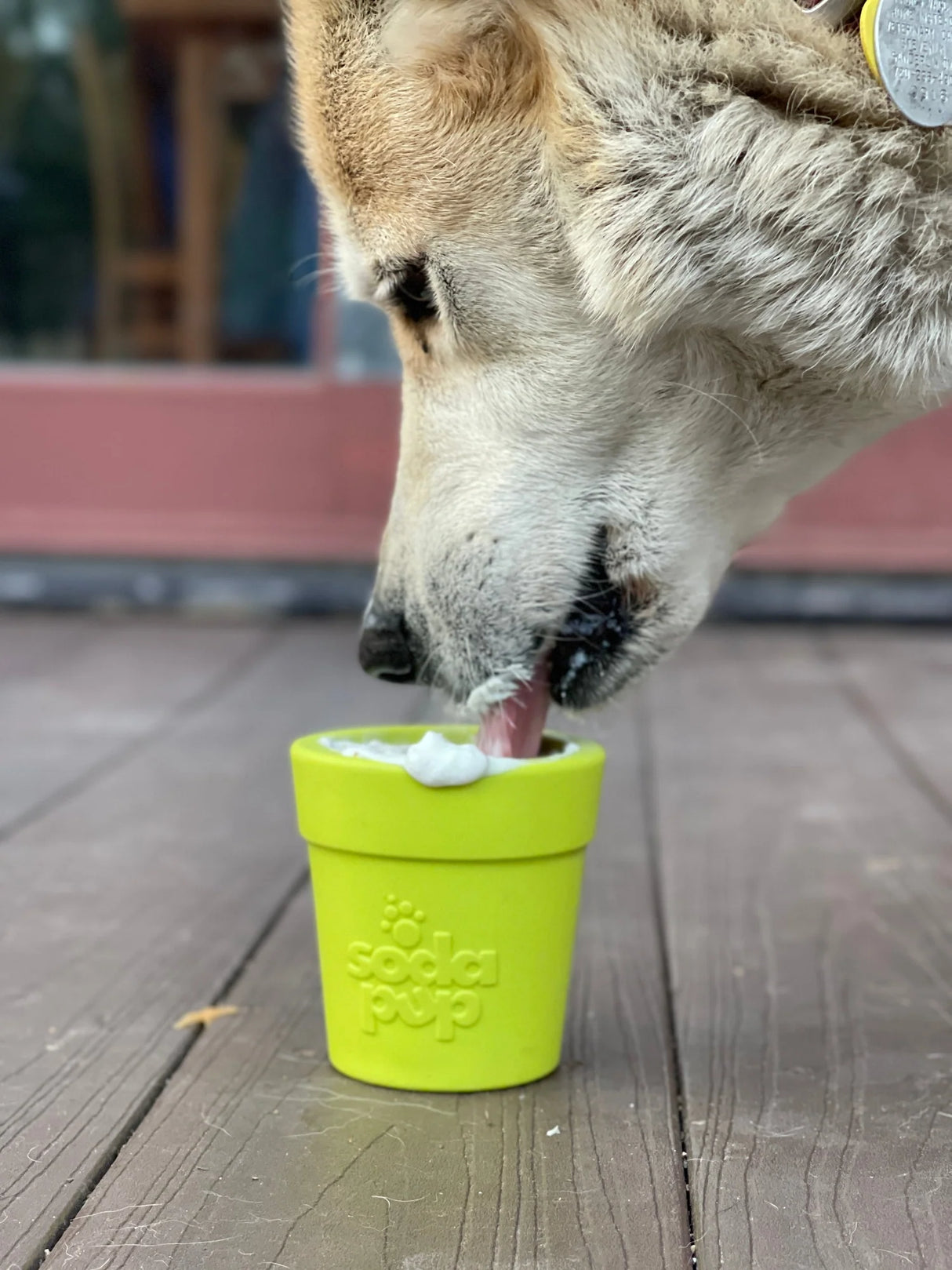 SodaPup PUP-X Rubber Treat Dispenser & Enrichment Toy - Flower Pot - Blue