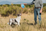 Chuckit! Paraflight Dog Toy Large - Blue / Orange