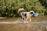 Chuckit! Paraflight Dog Toy Large - Blue / Orange