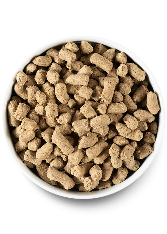 Open Farm Pasture-Raised Lamb Freeze Dried Raw Dog Food - 22oz