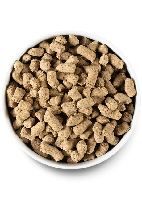 Open Farm Pasture-Raised Lamb Freeze Dried Raw Dog Food - 22oz