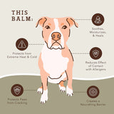 Natural Dog Company PawTection Balm - 2oz Stick