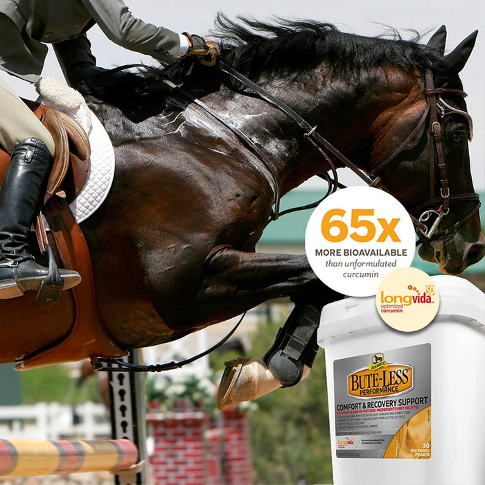 Absorbine Bute-Less Performance Comfort & Recovery Supplement - 3.75lb.