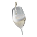 Zwilling Prédicat Glassware 9.5-oz Champagne Glass (Single Glass)