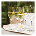 Zwilling Prédicat Glassware 9.5-oz Champagne Glass (Single Glass)