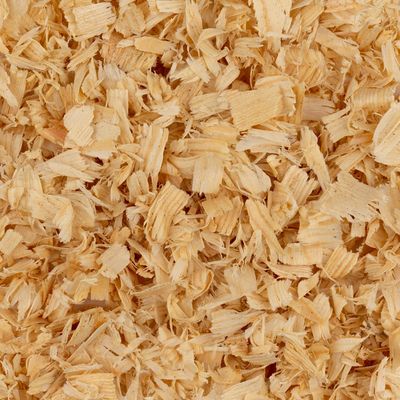 Jax Regular Flake Shavings