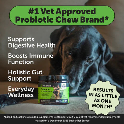 Pet Honesty Probiotics Gut + Immune Health Supplement Chews - Pumpkin