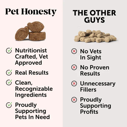 Pet Honesty Probiotics Gut + Immune Health Supplement Chews - Pumpkin