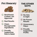 Pet Honesty Probiotics Gut + Immune Health Supplement Chews - Pumpkin