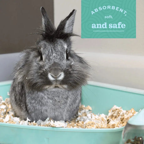 Oxbow Animal Health Pure Comfort White Bedding - 72L