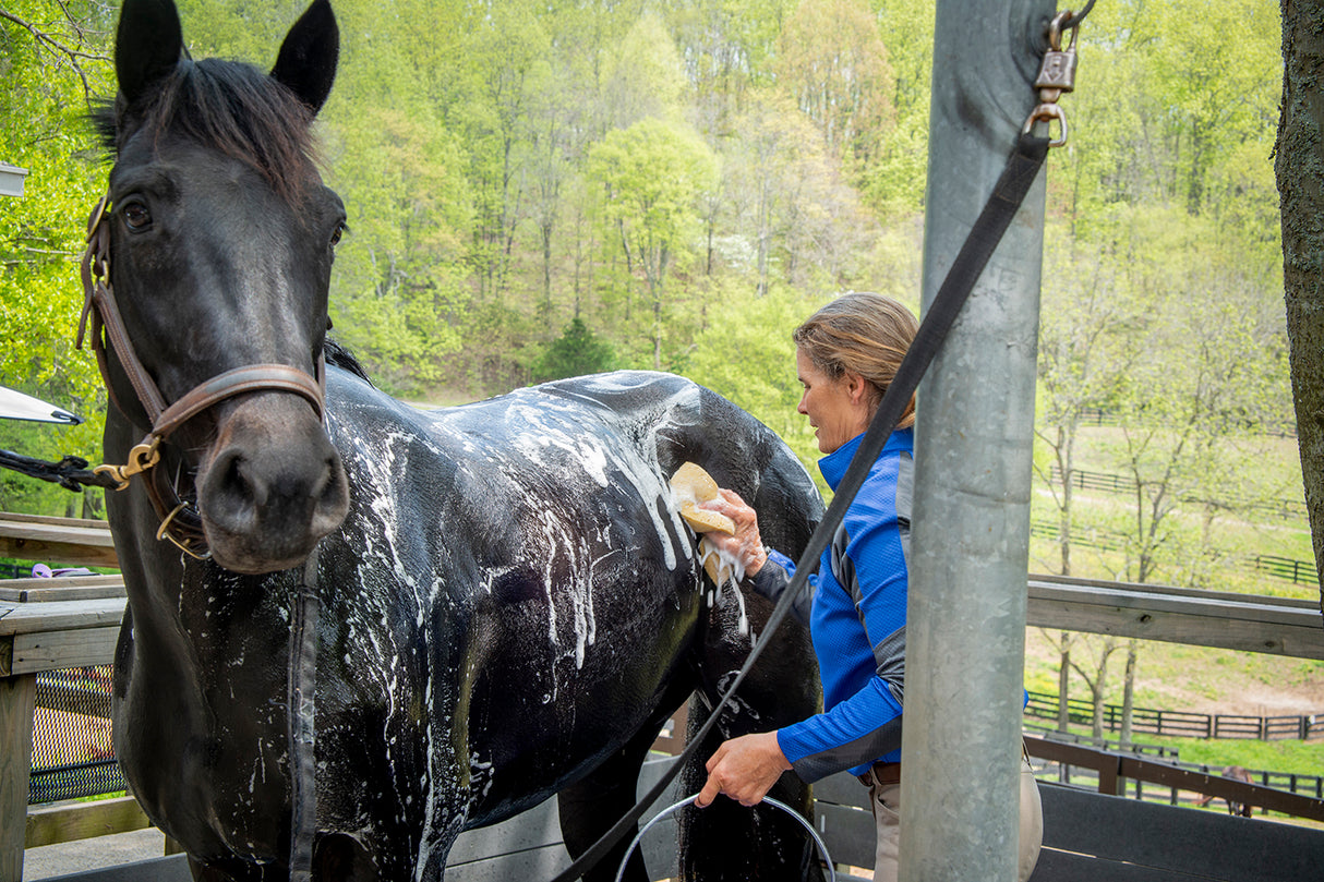 Exhibitor's Quic Black: Color Enhancing Equine Shampoo - 2oz. / 1 Gallon