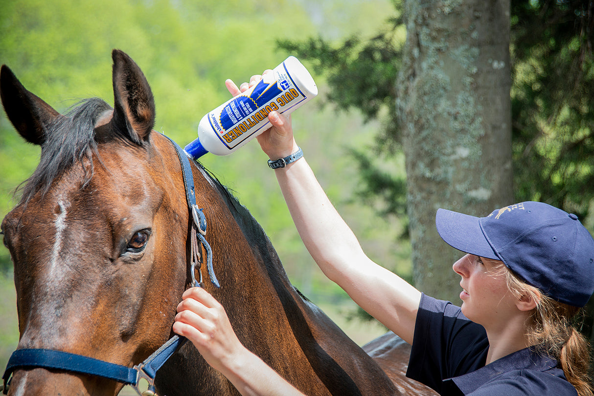 Exhibitor's Quic Conditioner: Moisturizing Equine Conditioner - 3.4oz. / 32oz.