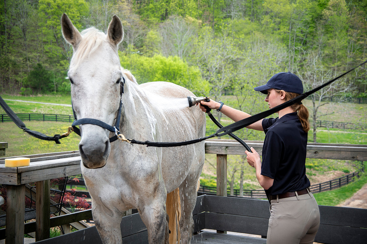 Exhibitor's Quic Shampoo: Shine Intensifying Equine Shampoo - 3.4oz. / 32oz.