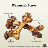 Redbarn Pet Products Mammoth Beef Bone Chew for Dogs