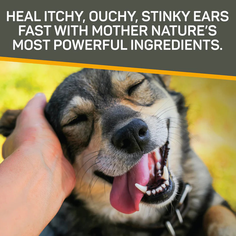 Silver Honey Rapid Ear Care Vet Strength Ear Treatment