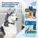 PetSafe Rechargeable Bark Control Collar