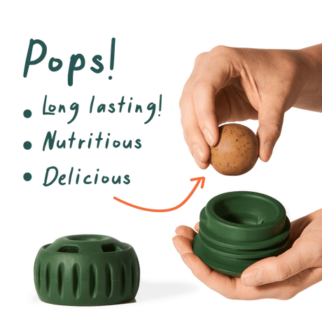 Woof Pet Refill Pupsicle Pops - Beef - Small