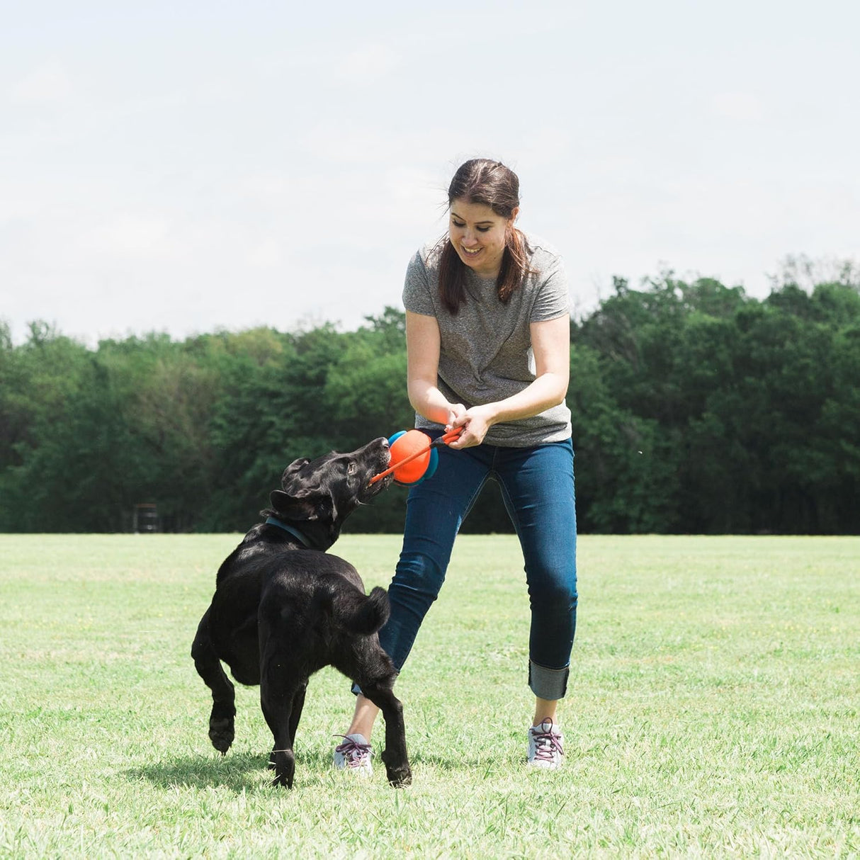 Chuckit! Rope Fetch Dog Toy 22-1/2 in. - Orange / Blue