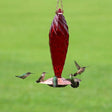 Essential Brands Crystal Spiral Glass Hummingbird Feeder Red