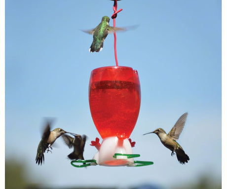 Essential Brands Big Red Hummingbird Feeder