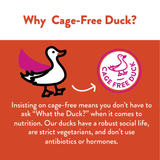 Shameless Pet Duck-Tato Jerky Bites Dog Treat