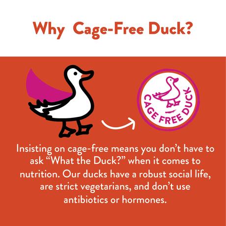 Shameless Pet Duck-Tato Jerky Bites Dog Treat