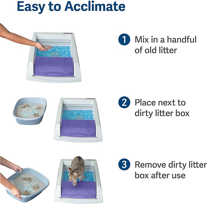 PetSafe ScoopFree Original Self-Cleaning Litter Box