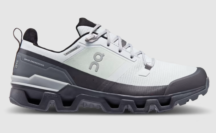 On Cloud Men's Cloudwander Waterproof Shoe Glacier/Eclipse