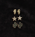 Silver Strike 3 Pair Western Stud Earring Set - Cactus, Star &amp; Lighting Bolt