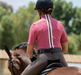 Kerrits Equestrian Apparel Cool Ride Ice Fil Short Sleeve Zip Shirt - Rose