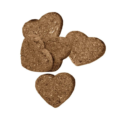 Oxbow Animal Health Simple Rewards Baked Treats with Apple & Banana - 3oz.