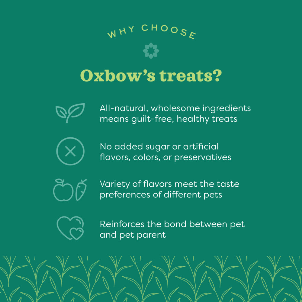 Oxbow Animal Health Simple Rewards Baked Treats with Apple & Banana - 3oz.