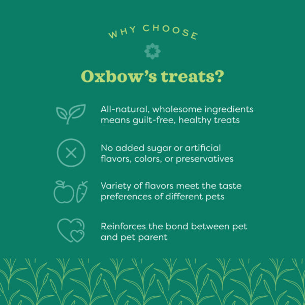 Oxbow Animal Health Simple Rewards Baked Treats with Carrot & Dill - 3oz.