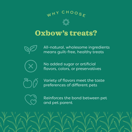 Oxbow Animal Health Simple Rewards Freeze Dried Banana Treats - 1oz.