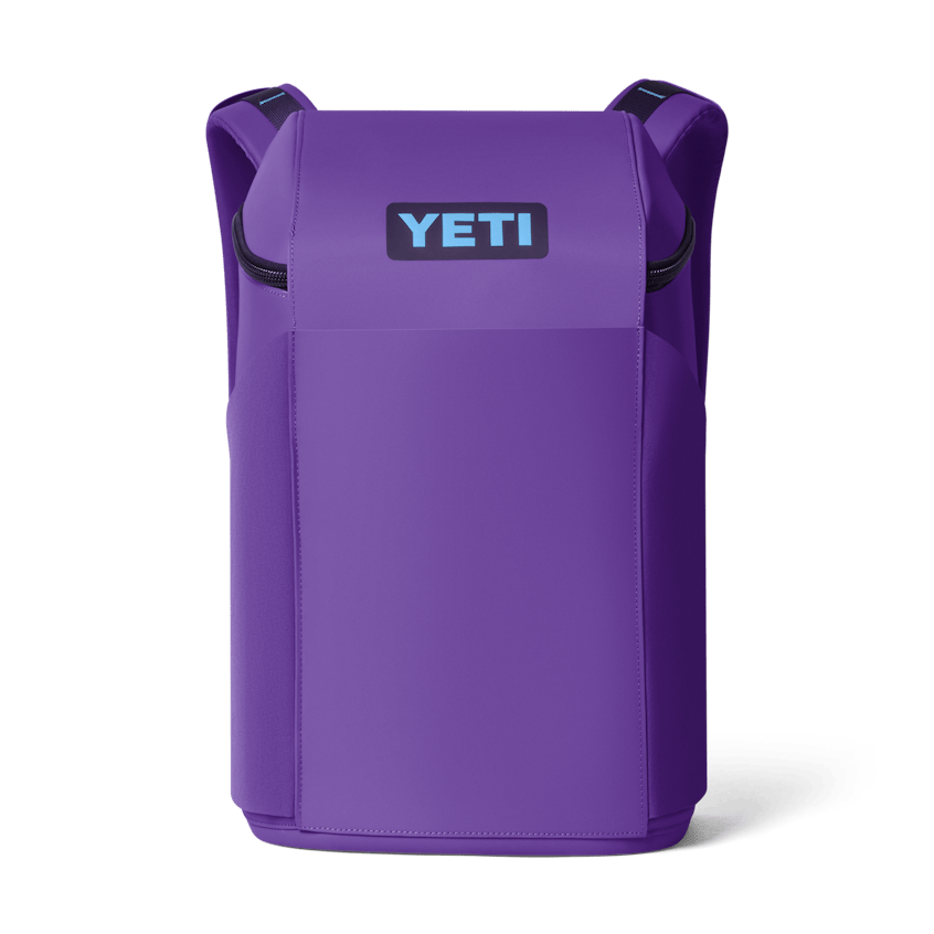 Daytrip 20l Backpack Pace Purple/blue