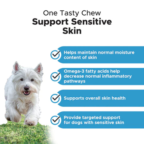 Pet Honesty Skin Health Omega Supplement Chews - Salmon