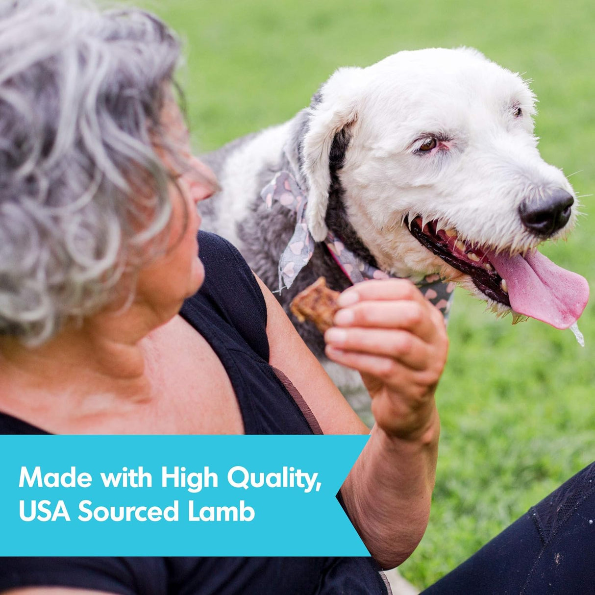 Dogswell Skin & Coat Jerky Dog Treats (Lamb Recipe) - 10oz