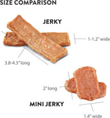 Dogswell Skin & Coat Jerky Dog Treats (Lamb Recipe) - 10oz