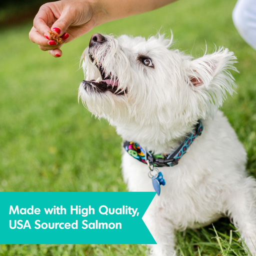 Dogswell Skin & Coat Jerky Dog Treats (Salmon Recipe) - 10oz