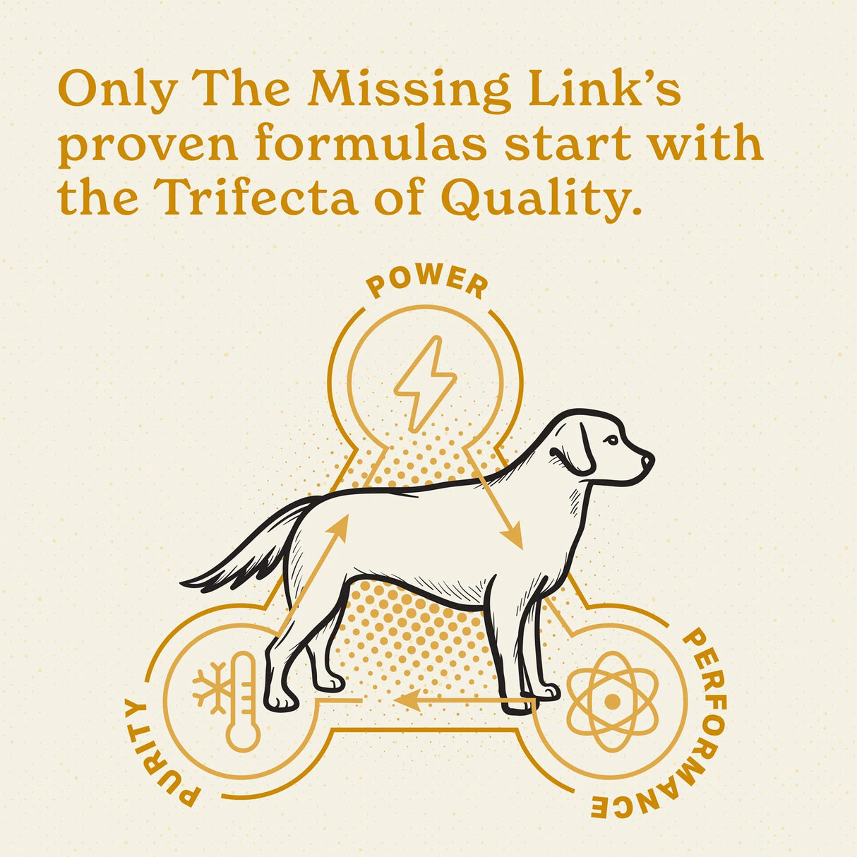 The Missing Link Skin & Coat Superfood Supplement Powder for Dogs - 1lb.