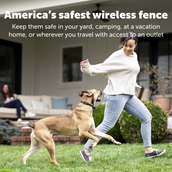 PetSafe Stay & Play Wireless Fence Rechargeable Receiver Collar