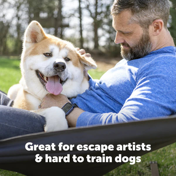 PetSafe Stubborn Dog In-Ground Fence Receiver Collar