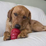 Kong Stuff'N Snacks Peanut Butter Dog Treats - Small - 8oz.