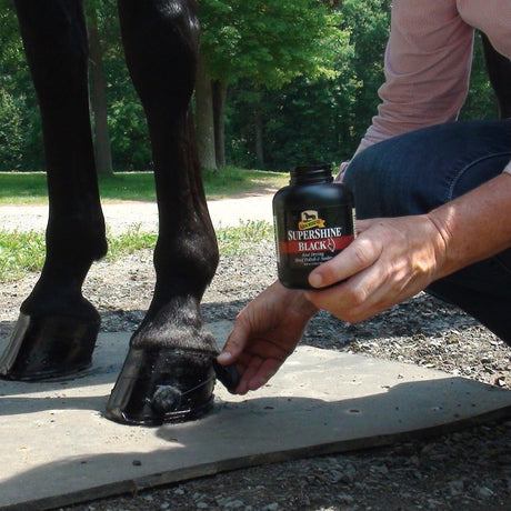 Absorbine SuperShine Black Hoof Polish & Sealer with Brush - 8oz.