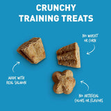 Cloudstar Tricky Trainers Crunchy Dog Treats with Salmon - 8oz