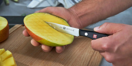 Zwilling Twin Signature 4-inch Paring Knife